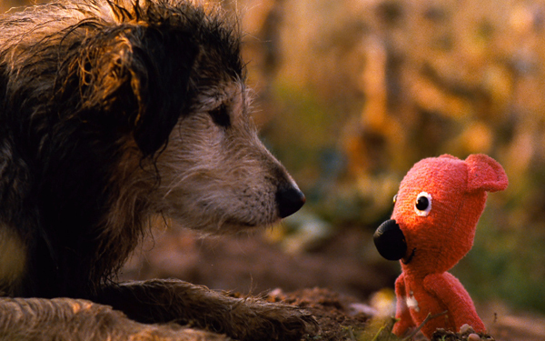 へなちょこテディベアがかわいすぎて癒される！ 新着チェコ映画『クーキー』に大注目