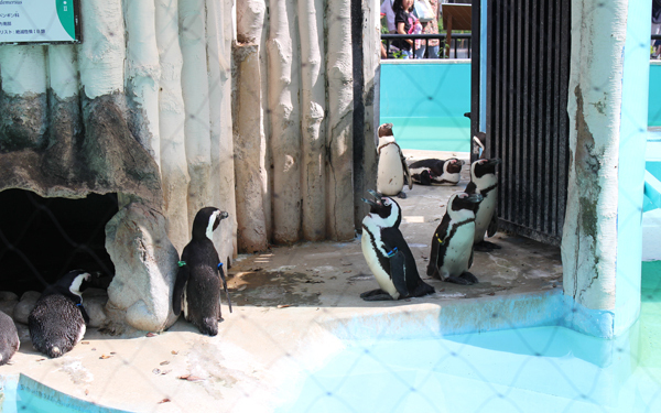 デートの場所に困ったら！ 「ぐるっとパス」でおトクに東京デート