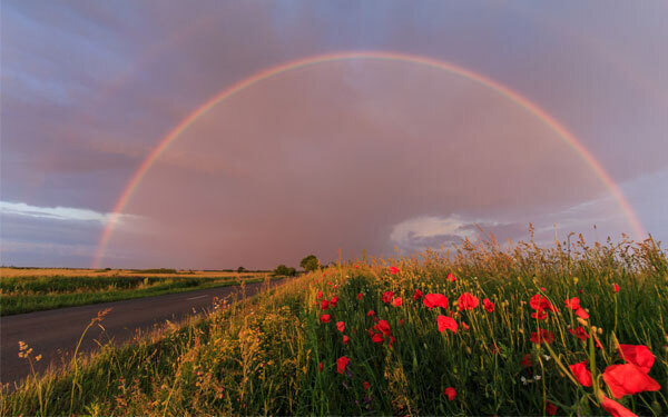 6月15日～6月21日の週間運勢ランキング！ 1位の星座は…？
