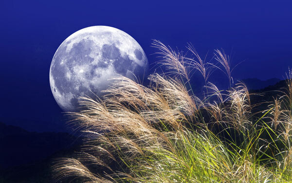 【先着100名のイベント参加者募集】鏡リュウジが語る「月と運命」