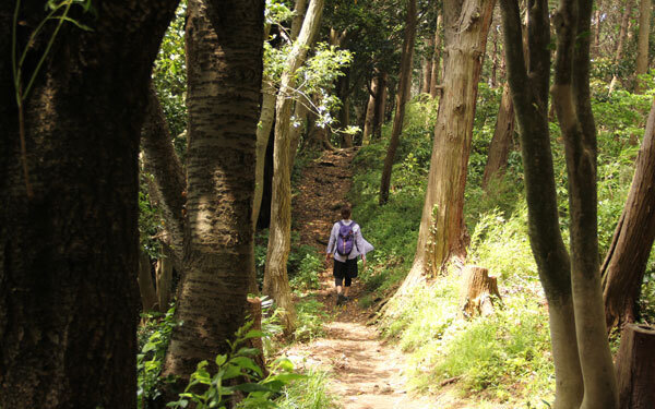 スニーカーで行ける。鎌倉にある絶景ハイキングコースが素敵すぎる