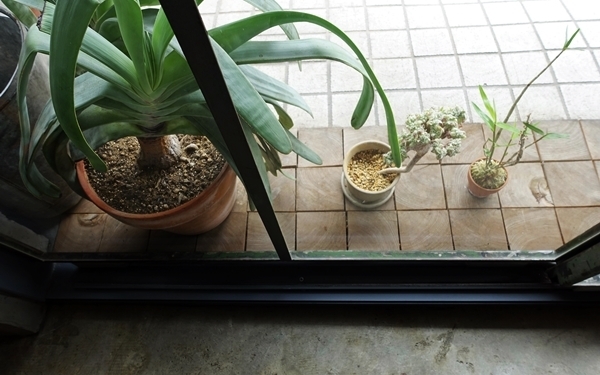 ぶらりと行きたい、こだわりのアート空間でアジア飯 #国立 #サーカス #おしゃれカフェ Vol.1