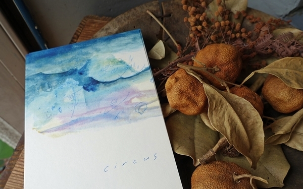 ぶらりと行きたい、こだわりのアート空間でアジア飯 #国立 #サーカス #おしゃれカフェ Vol.1