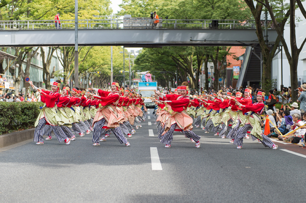 沖縄に徳島、高知も！ 都内で楽しめる地方のお祭り3選