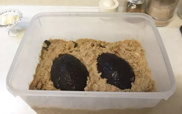 アボカド×ぬか漬けがマッチ お酒に合う、簡単オシャレおつまみ