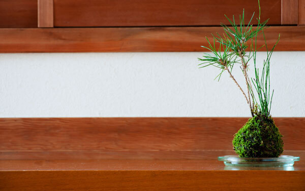 2020年の東京オリンピックまでにやっておきたい、「和」な習いごと