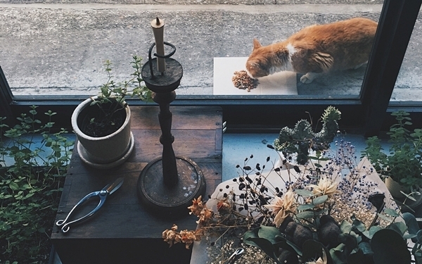 ユニークな建物で茶道のように楽しむ台湾茶 #蔵前 #fromafar倉庫01 #おしゃれカフェ Vol.8