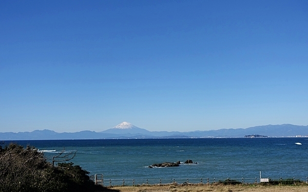 山中にたたずむエキゾチックなカフェ #葉山 #c:hord hayama antiques & bookcafe #おしゃれカフェ Vol.10