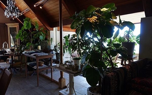 山中にたたずむエキゾチックなカフェ #葉山 #c:hord hayama antiques & bookcafe #おしゃれカフェ Vol.10
