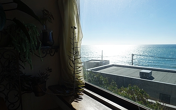 山中にたたずむエキゾチックなカフェ #葉山 #c:hord hayama antiques & bookcafe #おしゃれカフェ Vol.10