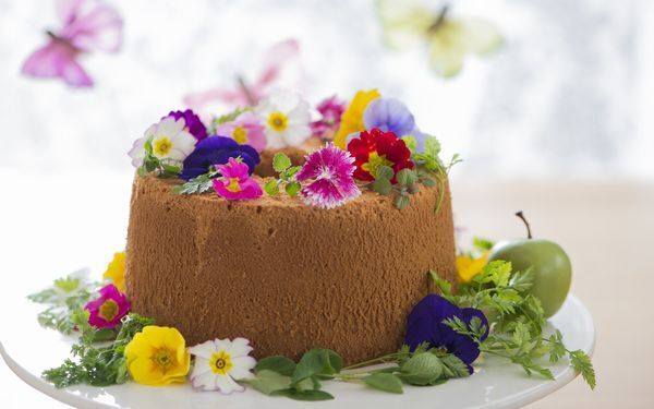 スイーツにも！　カラフルでかわいいエディブルフラワーで、食卓を彩ろう