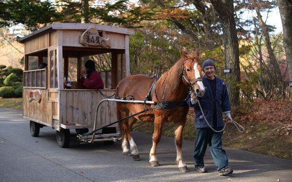 レストランでは祭り体験も！　朝から晩まで青森を楽しめる「星野リゾート　青森屋」