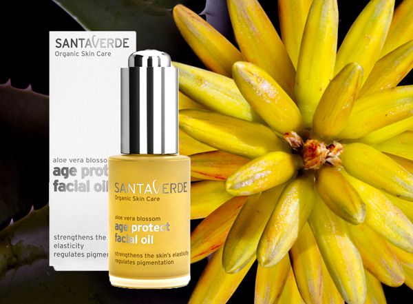 早坂香須子さん【無人島に、何持っていく？ プロが選ぶ  “必要最低限コスメ” Vol.1】