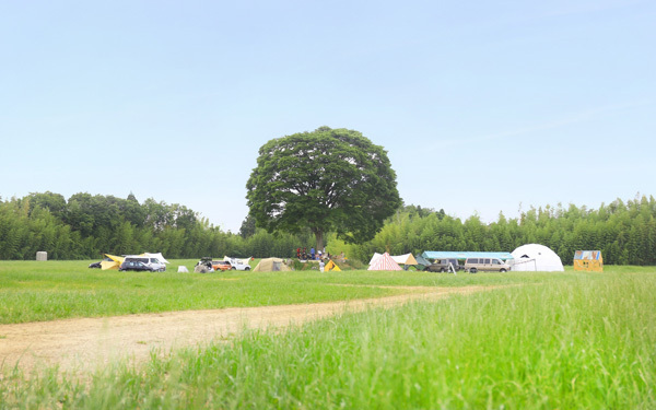 都内から車or電車で2時間以内！　子どもと遊べるアウトドアスポット