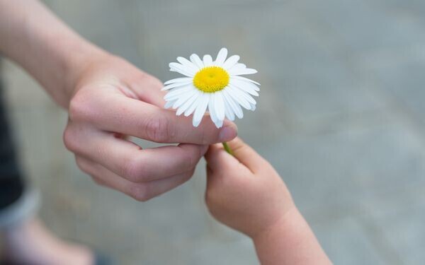 花を手渡す子ども