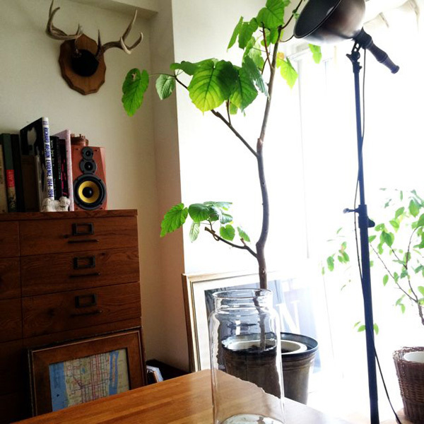 センスのいい部屋づくりのカギは、清水買いの大物家具【坪田あさみのインテリアコーデBOOK #1】