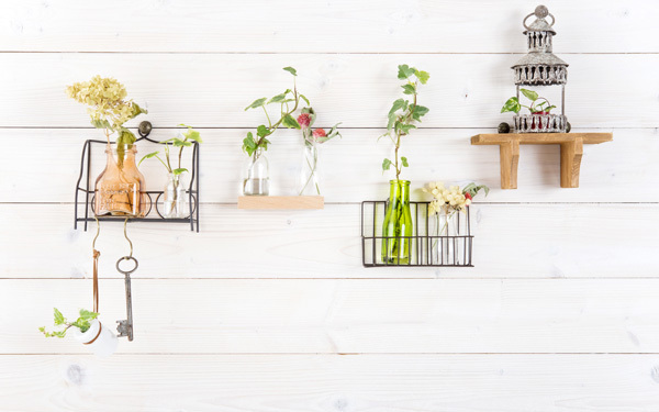 ちょこちょこ水やりはNG！　観葉植物を枯らさない3つのコツ