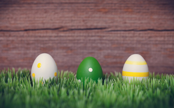 植物はいつも枯らしちゃう…でも大丈夫！　デスクに置けるハンドサイズ芝生