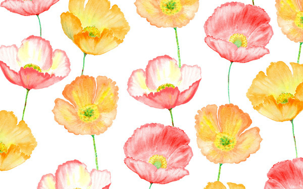 無心になって楽しめる　おとなだから楽しい「水彩色鉛筆」のミリョク