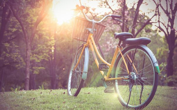 ぶっちゃけダサい…「パトロール中」プレート付き自転車に対するママの本音