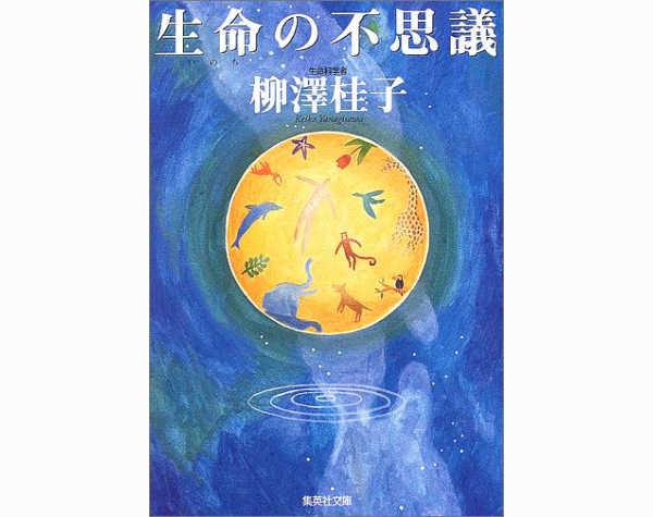 猫たちが語りだすサイエンス？！ 「わかりやすくて深い内容のサイエンス本」 3選