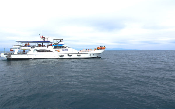 週末は台湾へ。台北から日帰りでイルカウォッチングに行こう！