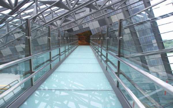 週末は台湾へ。台北から日帰りでイルカウォッチングに行こう！