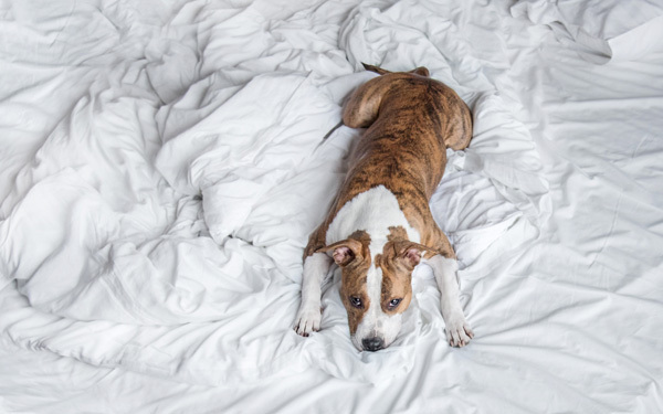 五感を刺激してリフレッシュ！　「心のプチ不調」を解消するコツ