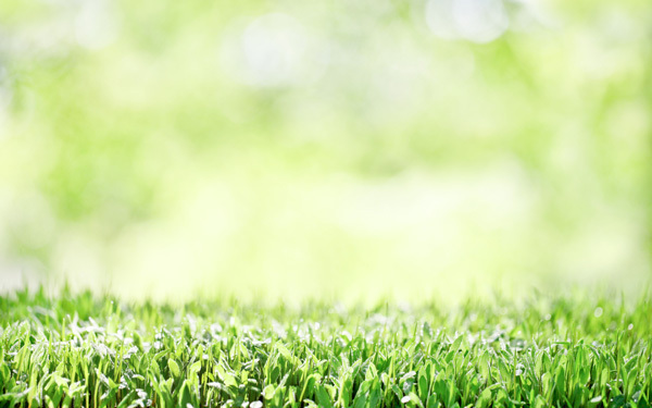 子どもと一緒に行事食　「立夏」を知ろう