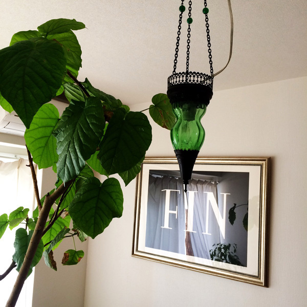 せまい部屋を「ちいさな照明」でセンス良くグレードアップ【坪田あさみのインテリアコーデBOOK #3】