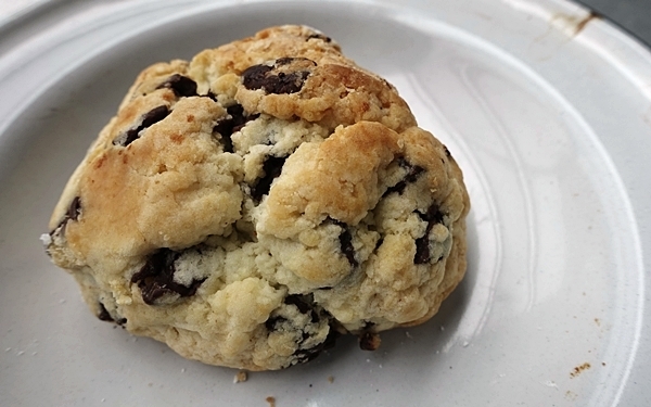 築30年の工場をリノベーション　グリーンに囲まれた癒やしのブックカフェ#上野#ROUTE BOOKS #おしゃれカフェ Vol.18