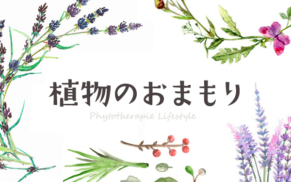 ふだん使いのお茶を「フィトテラピー」にする方法【植物のおまもり Vol.4】