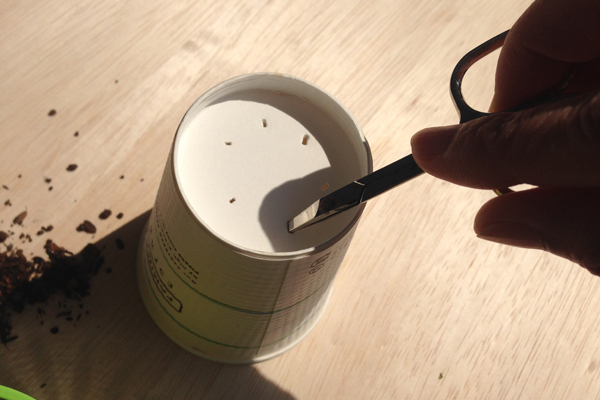 カップ野菜で、楽しいキッチン菜園！　親子で始めるかんたん野菜づくり