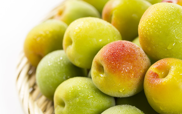 梅雨の季節は、子どもと一緒に「梅仕事」（食で心を育む Vol.20）