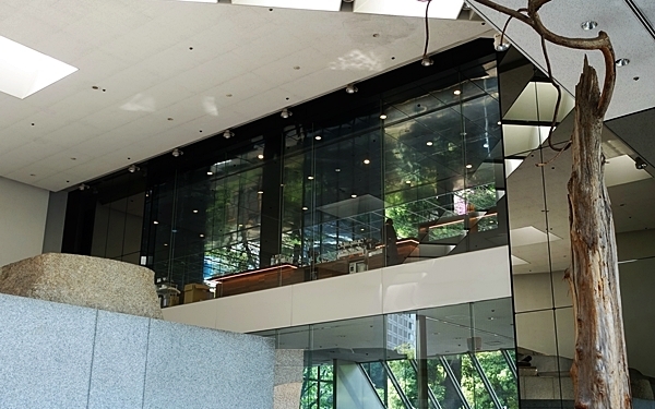 生い茂る緑と一体化した不思議な空間＃青山＃connel coffee #おしゃれカフェ Vol.20