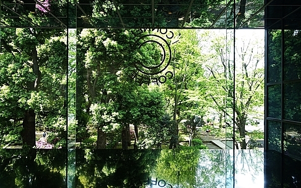 生い茂る緑と一体化した不思議な空間＃青山＃connel coffee #おしゃれカフェ Vol.20