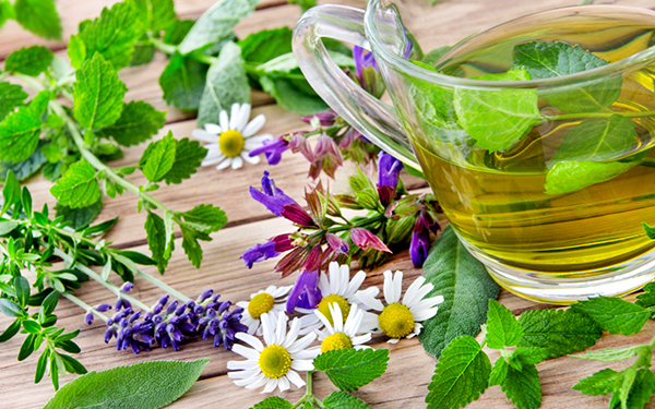 植物の力で不調をメンテナンス　ドイツで人気の 「フィトセラピー」サプリ3選