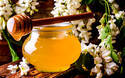 美肌、風邪予防…　花によって味や成分が異なる「はちみつ」の使い方のコツ