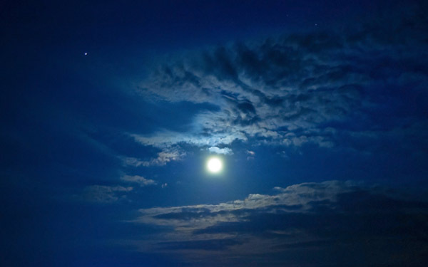 ムーンパワーを味方につける！　満月から始めるリラックス＆デトックス習慣【植物のおまもり Vol.6】