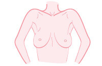 両腕を上げて、左右の乳房、乳輪、乳頭の形、大きさなどの変化を確かめます