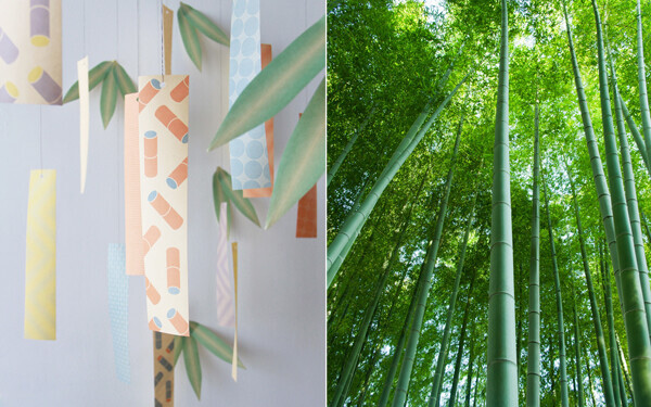 日本の竹でつくられた「竹紙」の七夕短冊が、子どもたちの未来をつくる？！