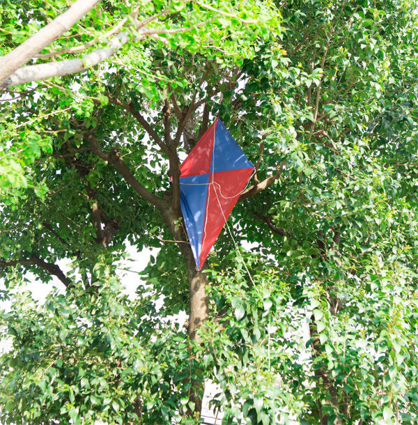 子どもが楽しめるしかけもたくさん　東京・六本木にオープンした、スヌーピーミュージアムに潜入！