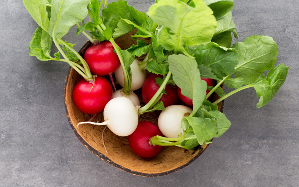 パセリやミックスリーフは自家製で！　忙しい人にもできる、かんたんキッチン菜園