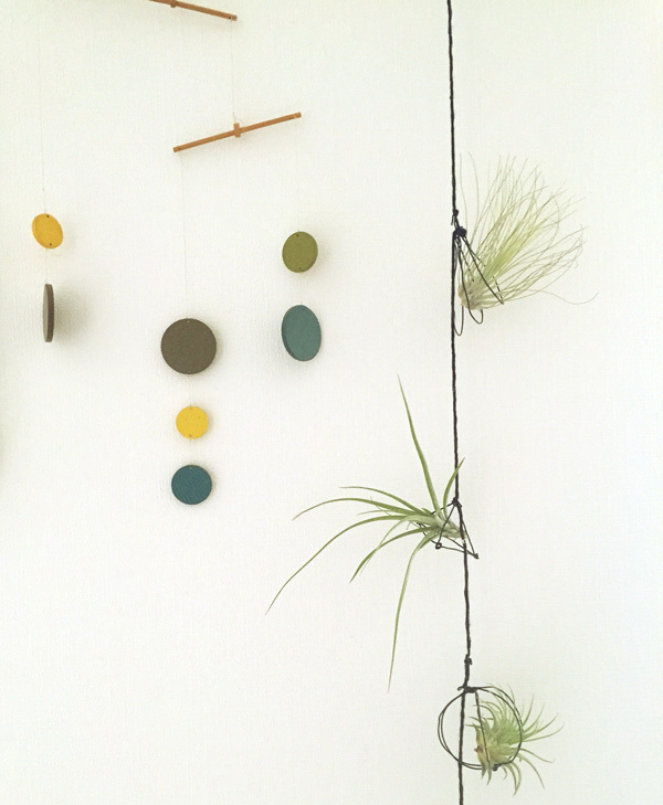 小さな子がいても安心＆お手軽な、エアプランツの飾り方