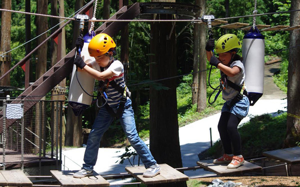まるで森の中の天然遊園地！　「ツリーピクニック アドベンチャー いけだ」に親子で大興奮