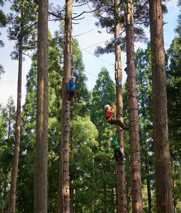 まるで森の中の天然遊園地！　「ツリーピクニック アドベンチャー いけだ」に親子で大興奮