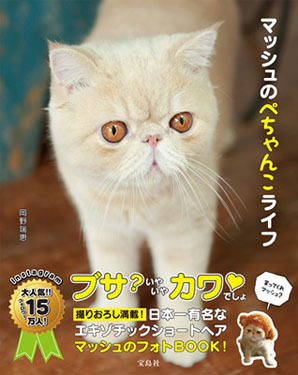 岡野瑞恵さんが無人島に持って行く「必要最低限コスメ」【無人島に、何持っていく？ プロが選ぶ  “必要最低限コスメ” Vol.5】