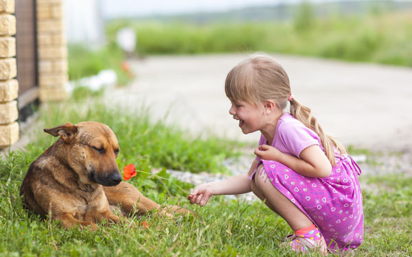 頭をさわるのはキケン？　子どもが動物とふれあうときの注意点