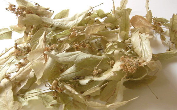 忙しい毎日から自由になれる「眠りのフィトテラピー」【植物のおまもり Vol.9】