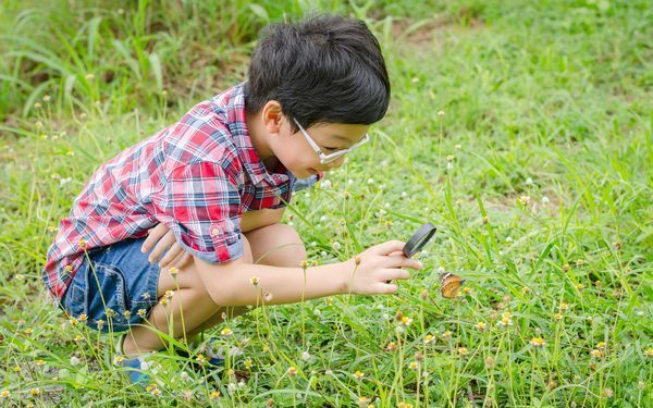 自由研究のヒントにもなる!?　身近な虫を子どもと観察しよう